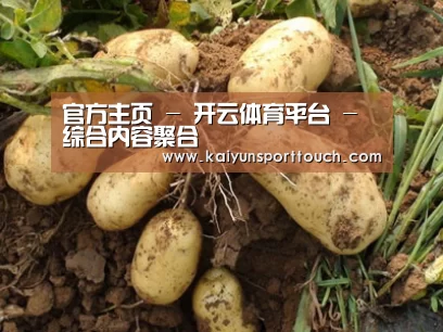 种植基地六