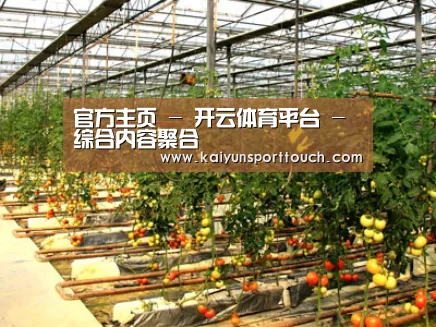 种植基地二