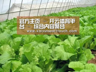 种植基地一