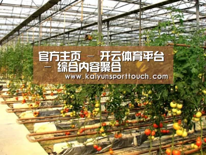 种植基地二(图1)