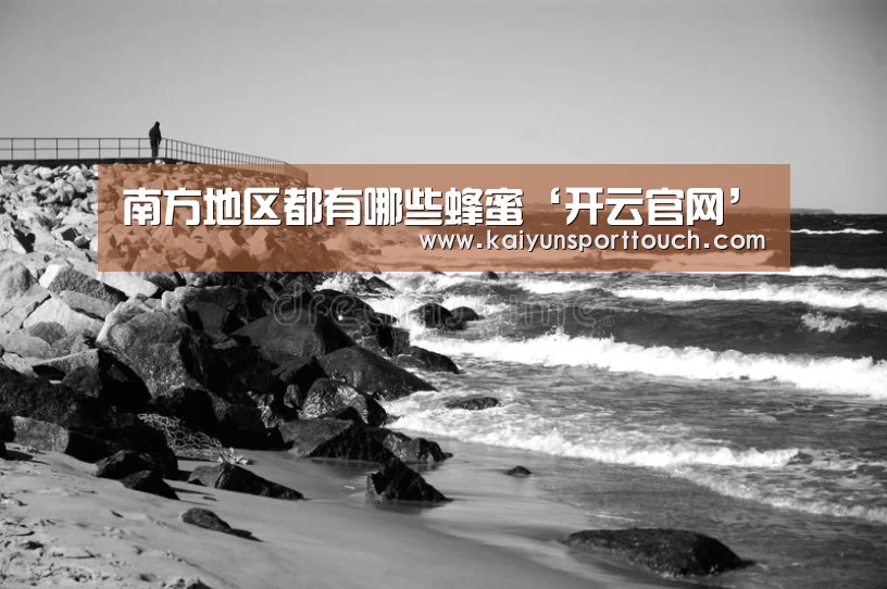 南方地区都有哪些蜂蜜‘开云官网’(图1) 开云视讯