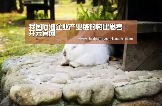 我国石油企业产业链的构建思考-开云官网(图1) 开云热点