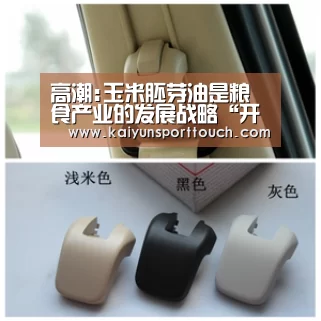 高潮:玉米胚芽油是粮食产业的发展战略“开云官网”(图2) 开云官网