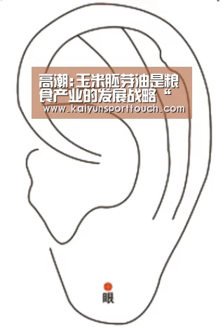 高潮:玉米胚芽油是粮食产业的发展战略“开云官网”(图3) 开云快讯