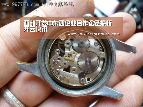 西部开发中东西企业合作途径探析_开云快讯(图1) 开云官网