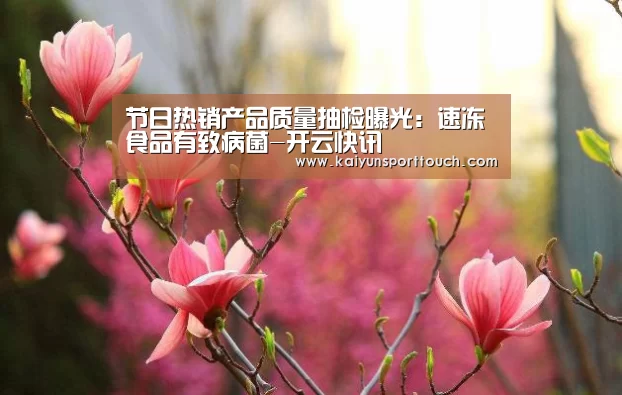 节日热销产品质量抽检曝光:速冻食品有致病菌-开云快讯(图2) 开云视讯