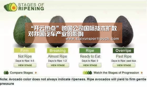 “开云热点”跨国公司国际技术扩散对我国汽车产业的影响(图1) 开云官网