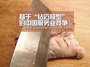 基于“钻石模型”的中国服务业竞争力分析‘开云快讯’(图3) 开云视讯