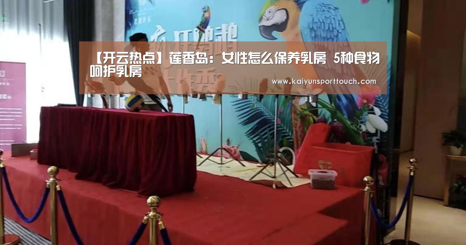 开云视讯