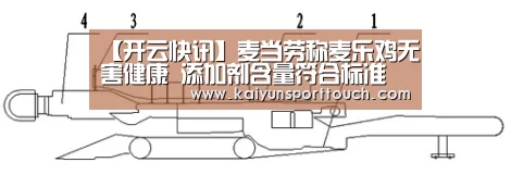 【开云快讯】麦当劳称麦乐鸡无害健康 添加剂含量符合标准(图4) 开云热点