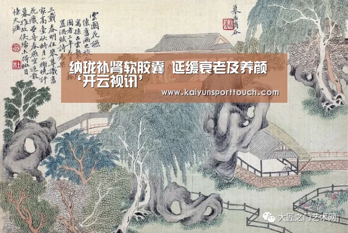 纳珑补肾软胶囊 延缓衰老及养颜‘开云视讯’(图3) 开云视讯