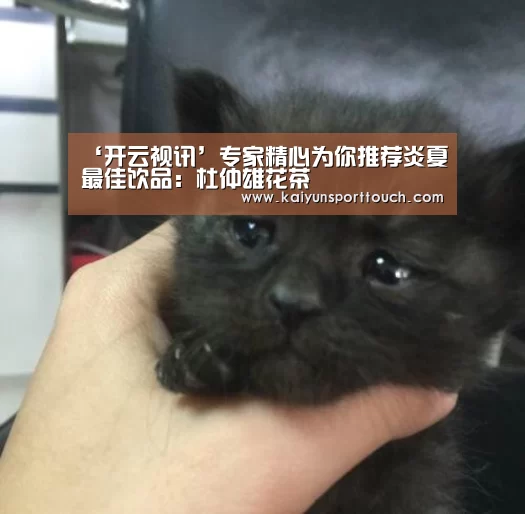 ‘开云视讯’专家精心为你推荐炎夏最佳饮品:杜仲雄花茶(图3) 开云官网