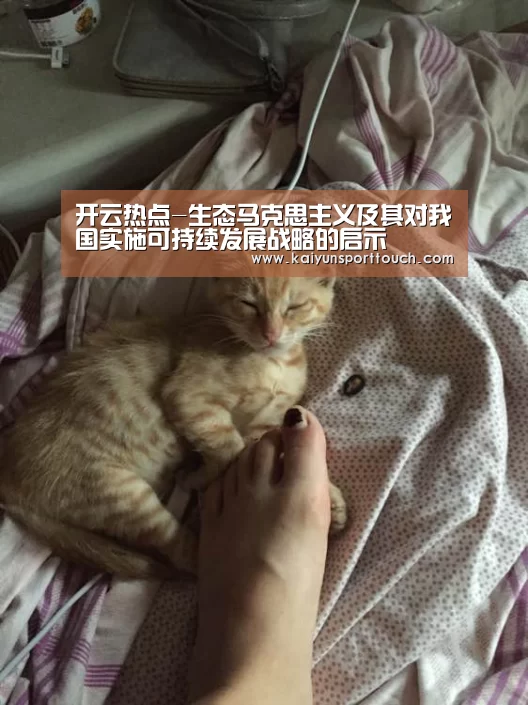 开云热点-生态马克思主义及其对我国实施可持续发展战略的启示(图2) 开云官网
