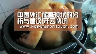 中国外汇储备现状的分析与建议|开云快讯(图2) 开云官网